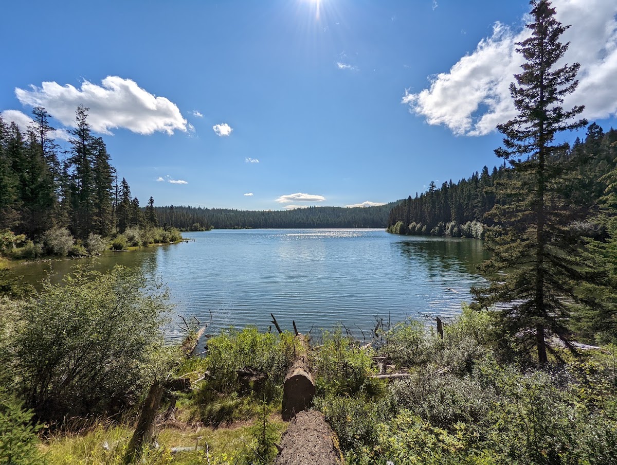 McConnell Lake Provincial Park