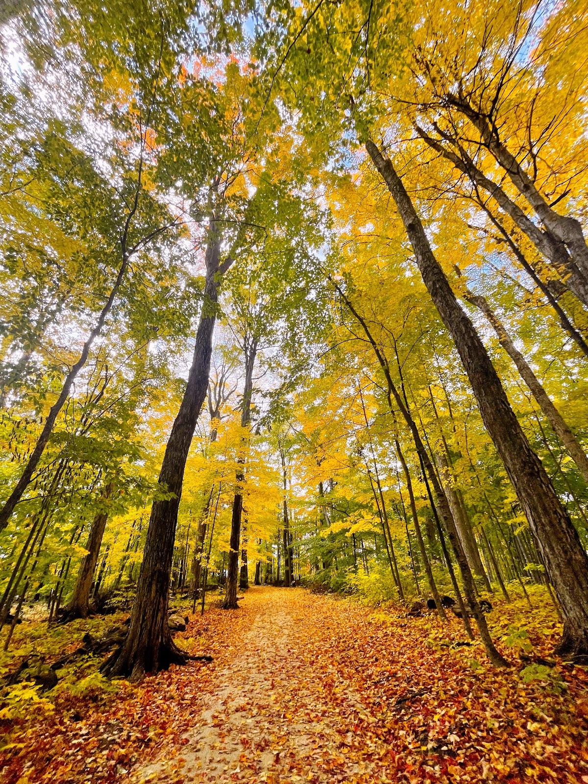 Trailview Park