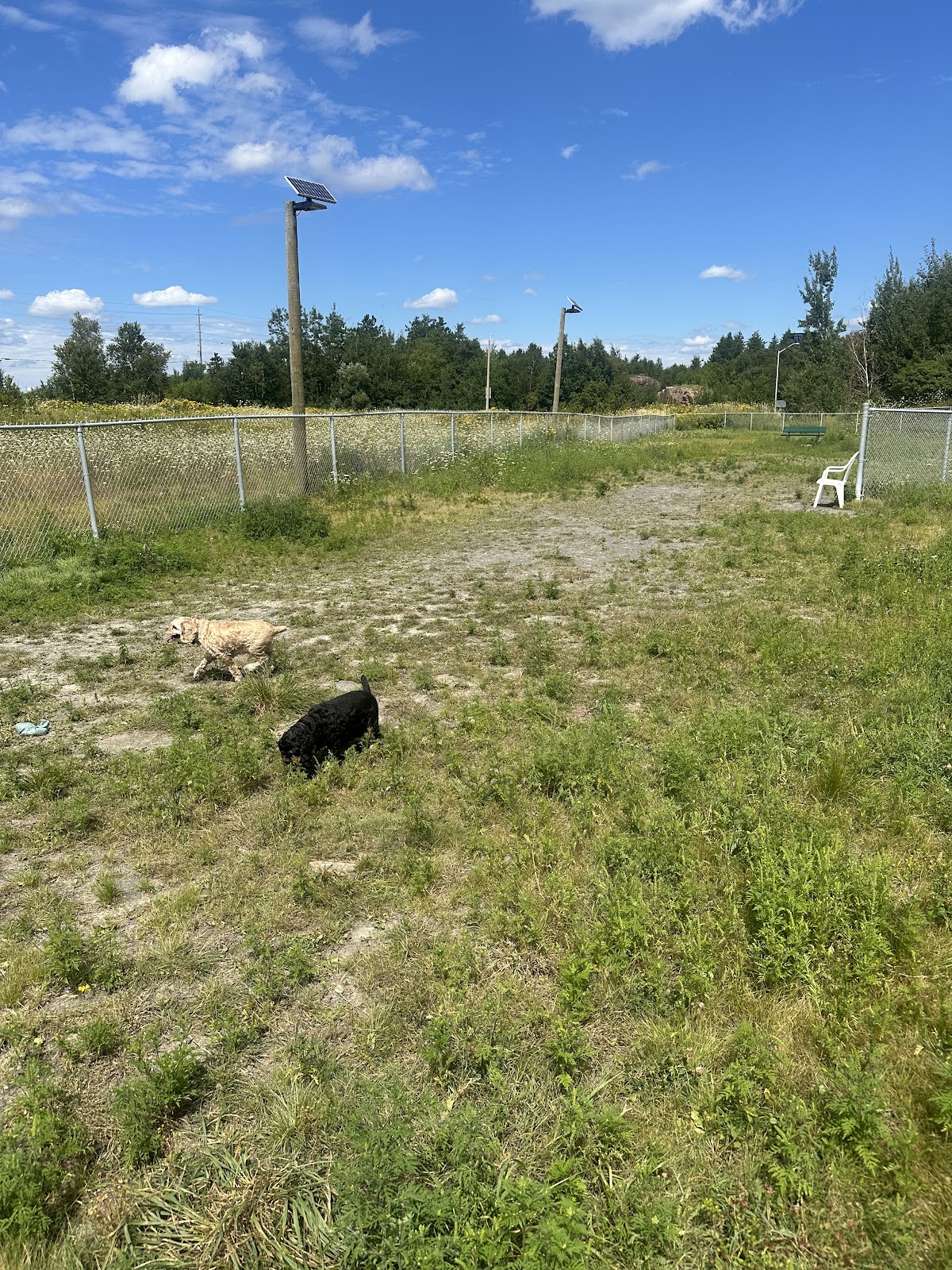 Dog park