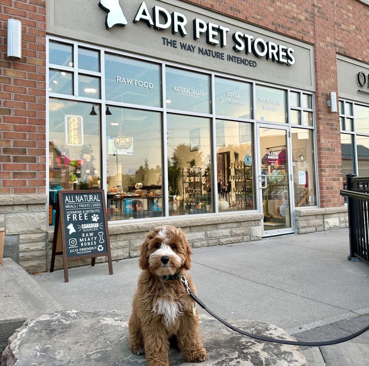 ADR Pet Stores - Markham