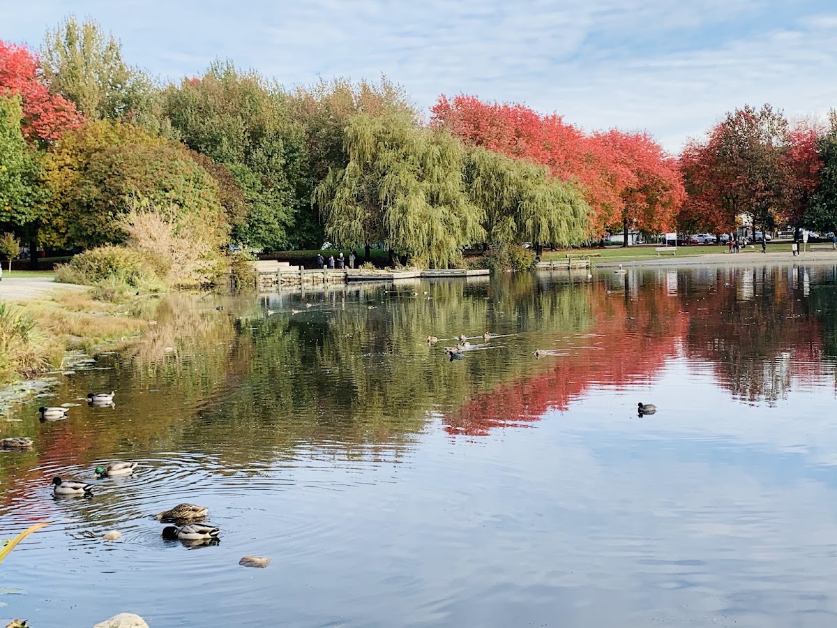 Trout Lake Off-Leash Area