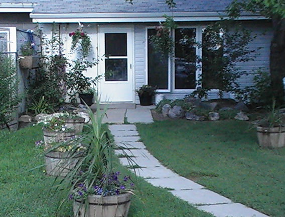 Buena Vista Kennels
