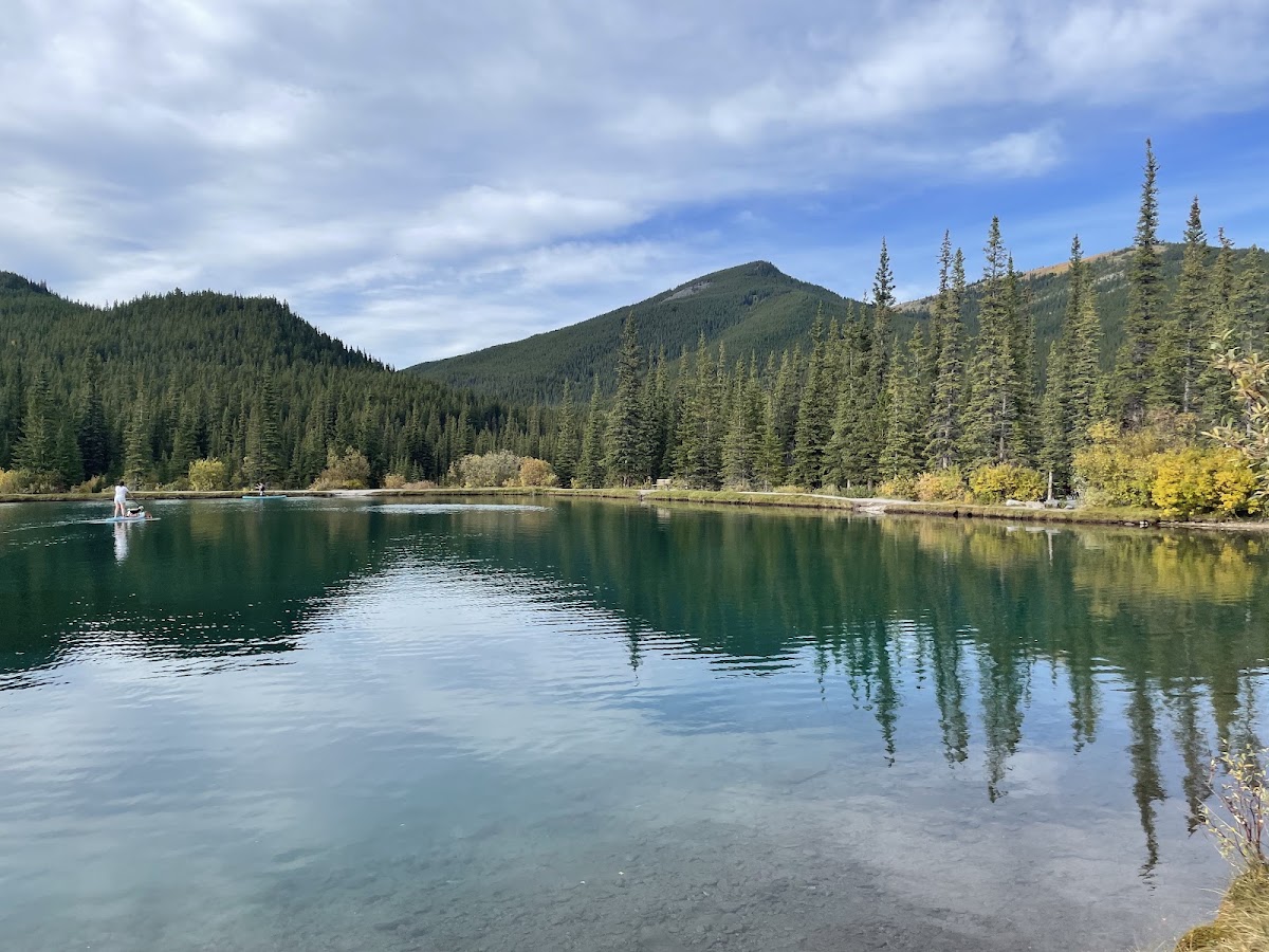 Forgetmenot Pond