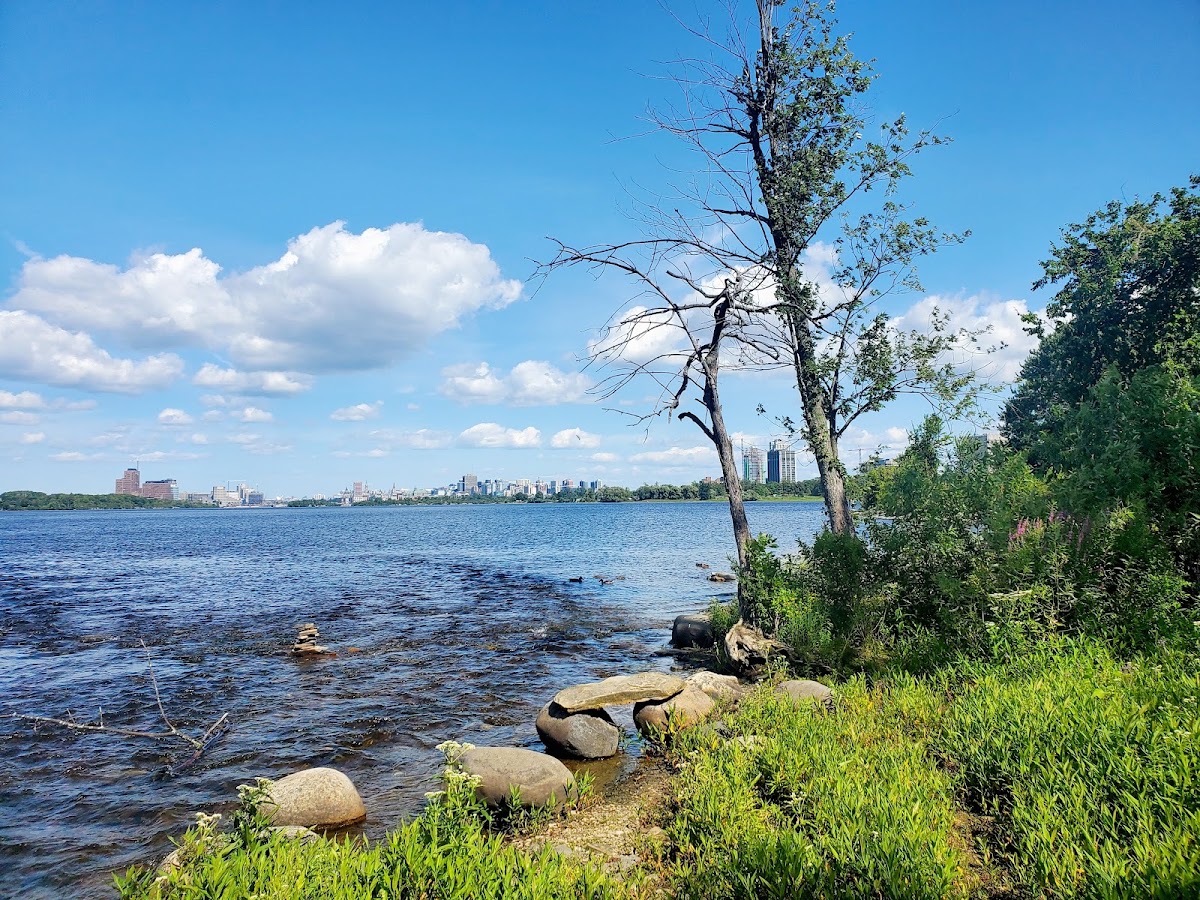 Bate Island Park