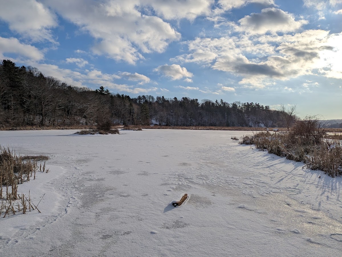 Miner's Marsh