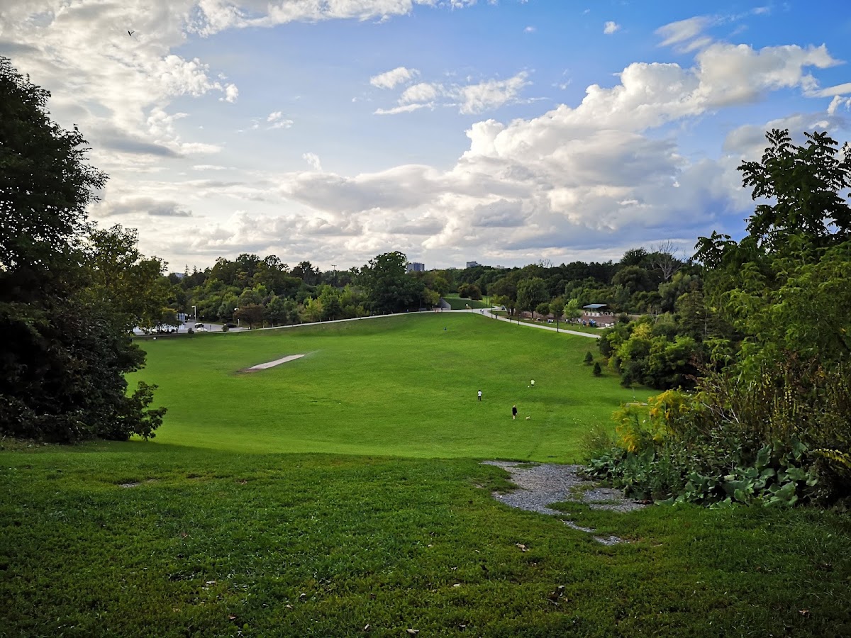 Cedarvale Park Dogs Off-Leash Area