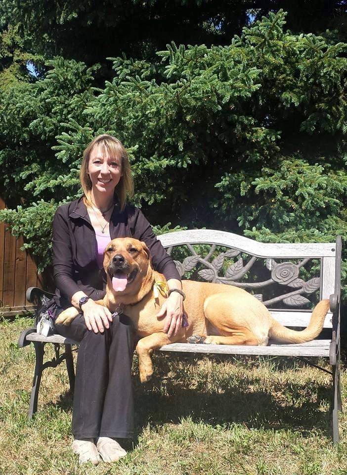 A Dog's Choice, Buildling Trust - One Click at a Time .