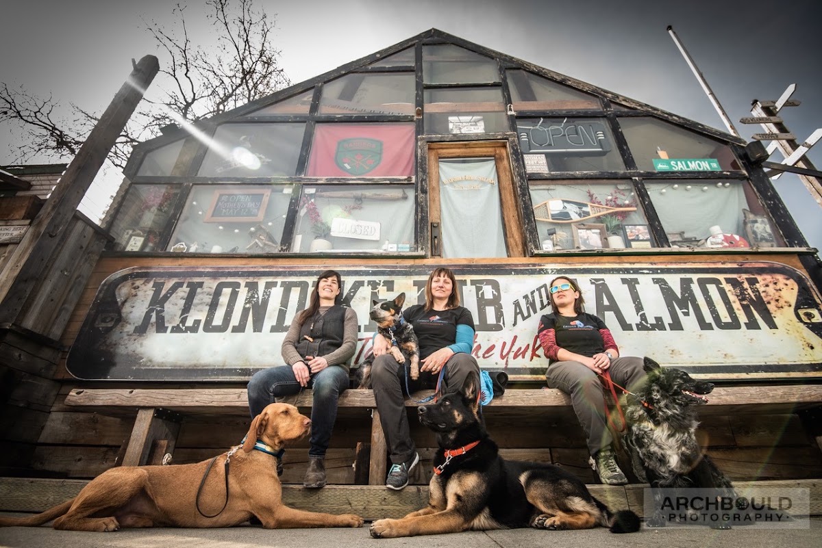 Canines & Company Dog Obedience School