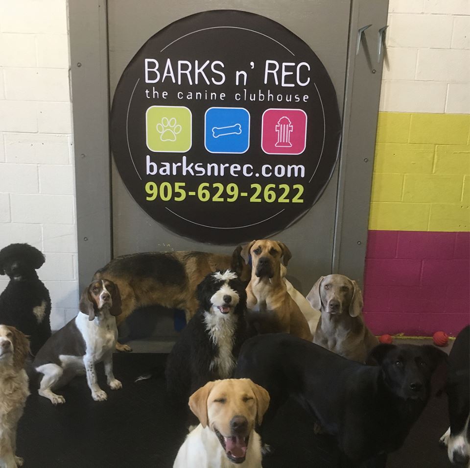Barks n' Rec
