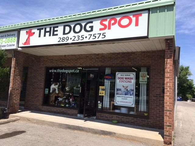 Dog Spot