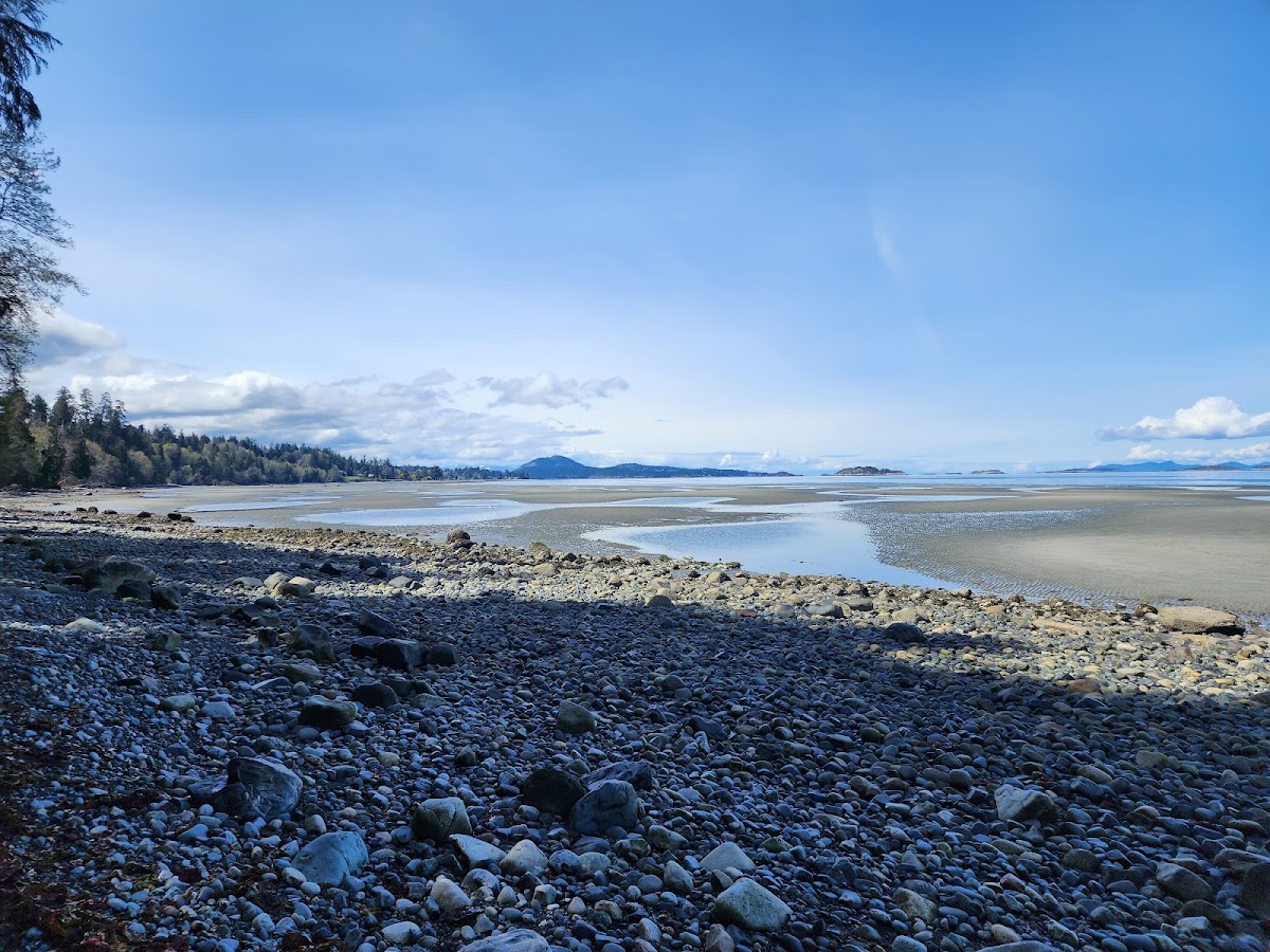 Blueback Beach Access