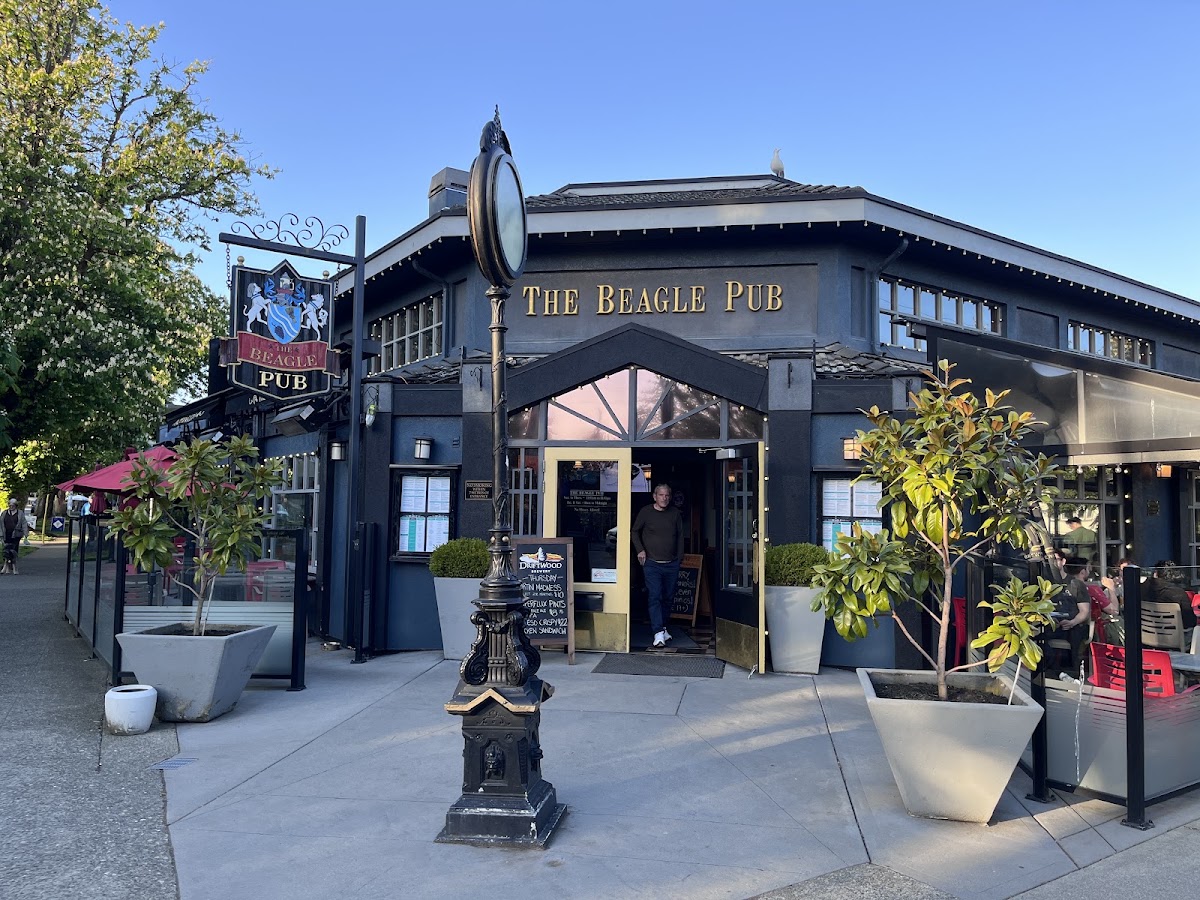 Beagle Pub