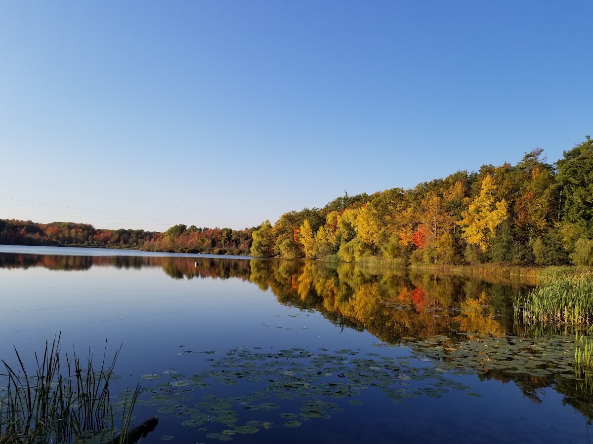 Heart Lake Conservation Park