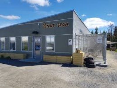 NWT SPCA
