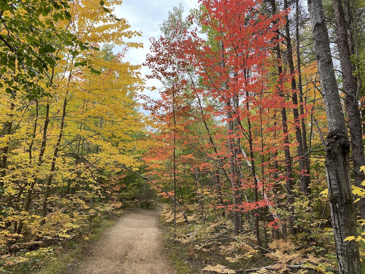 Parc nature Ogden