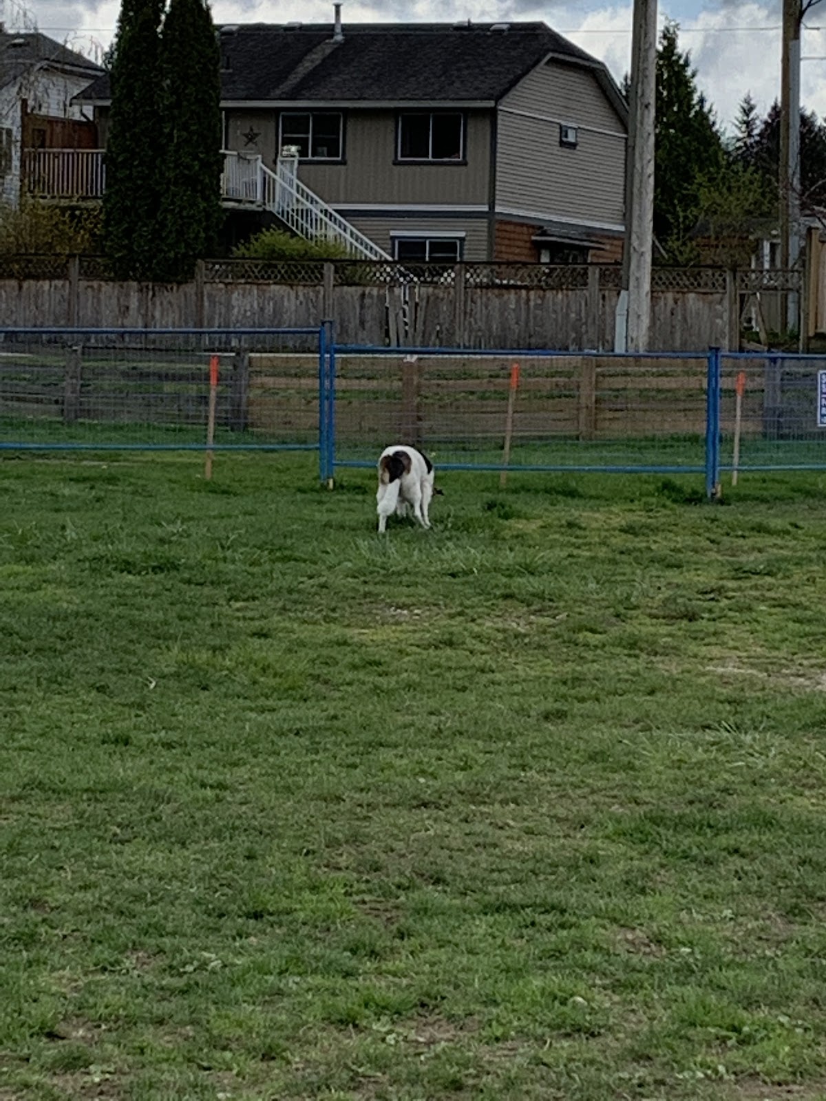 Walnut Grove Dog Off-Leash Park