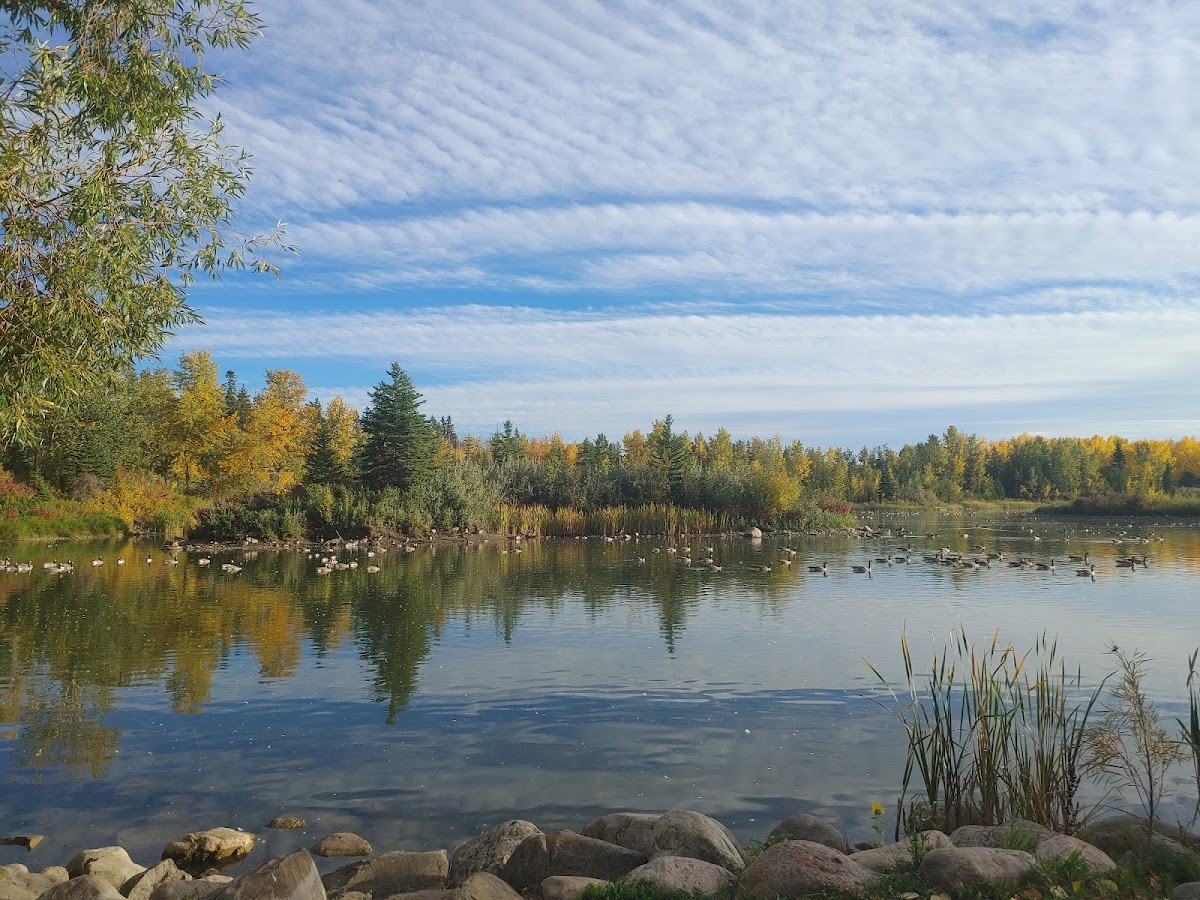 McKenzie Trails Park