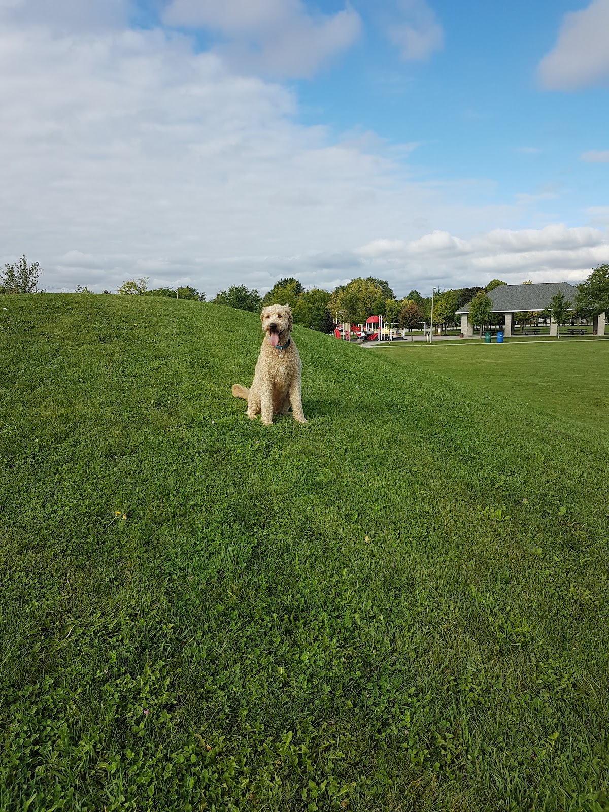 Ford Test Track Dog Park
