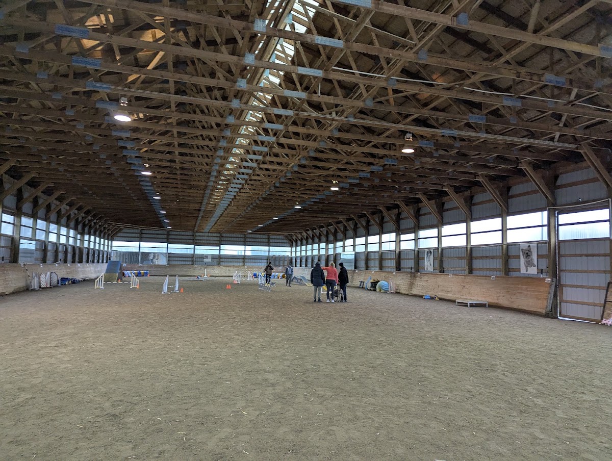Cotonfield Dog Centre