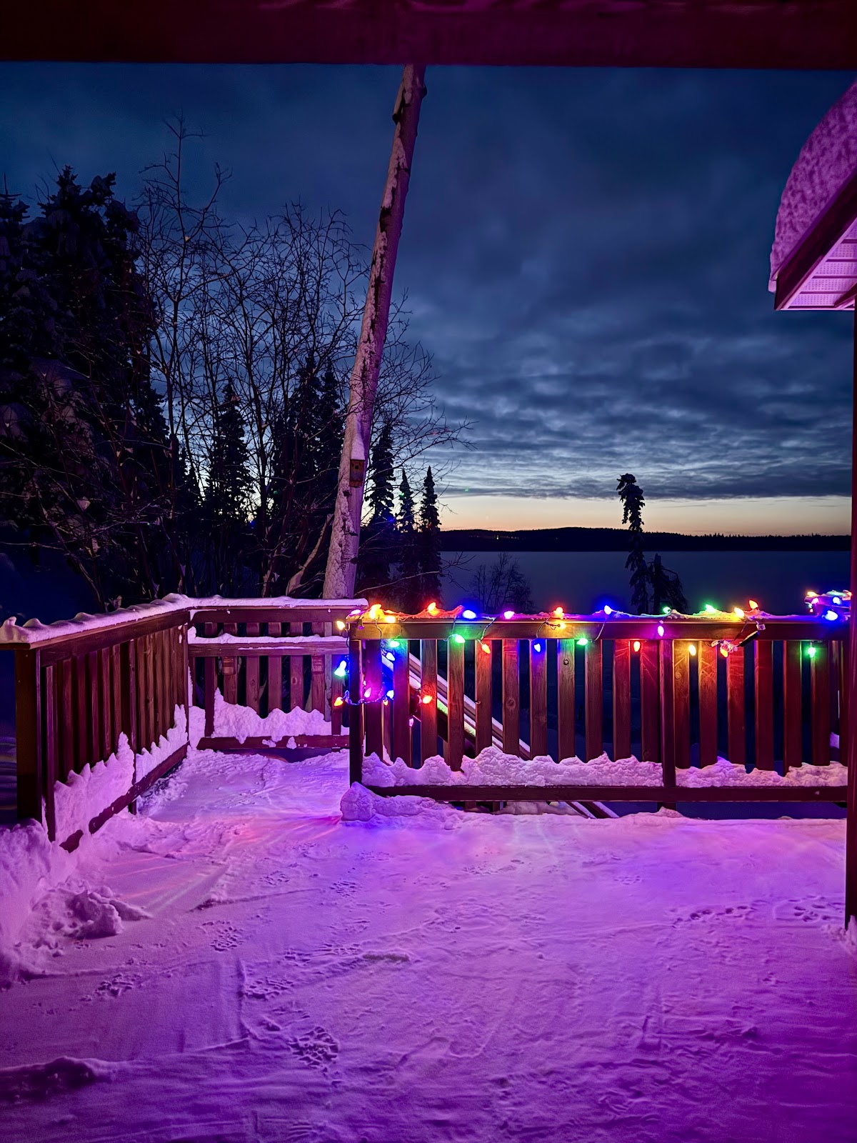 cozy nest lakeside bed and breakfast