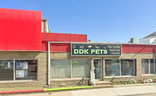 DDK Pets N Points