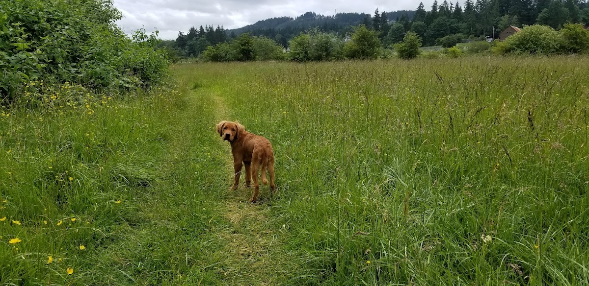 East Wellington Park