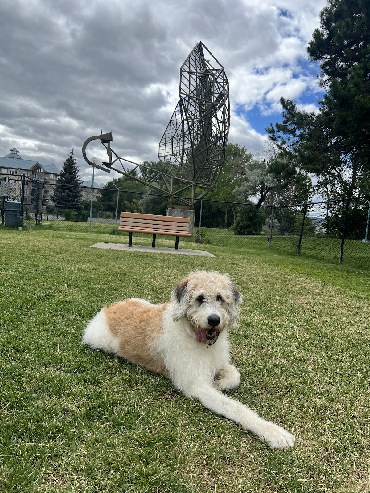 River Street Dog Park
