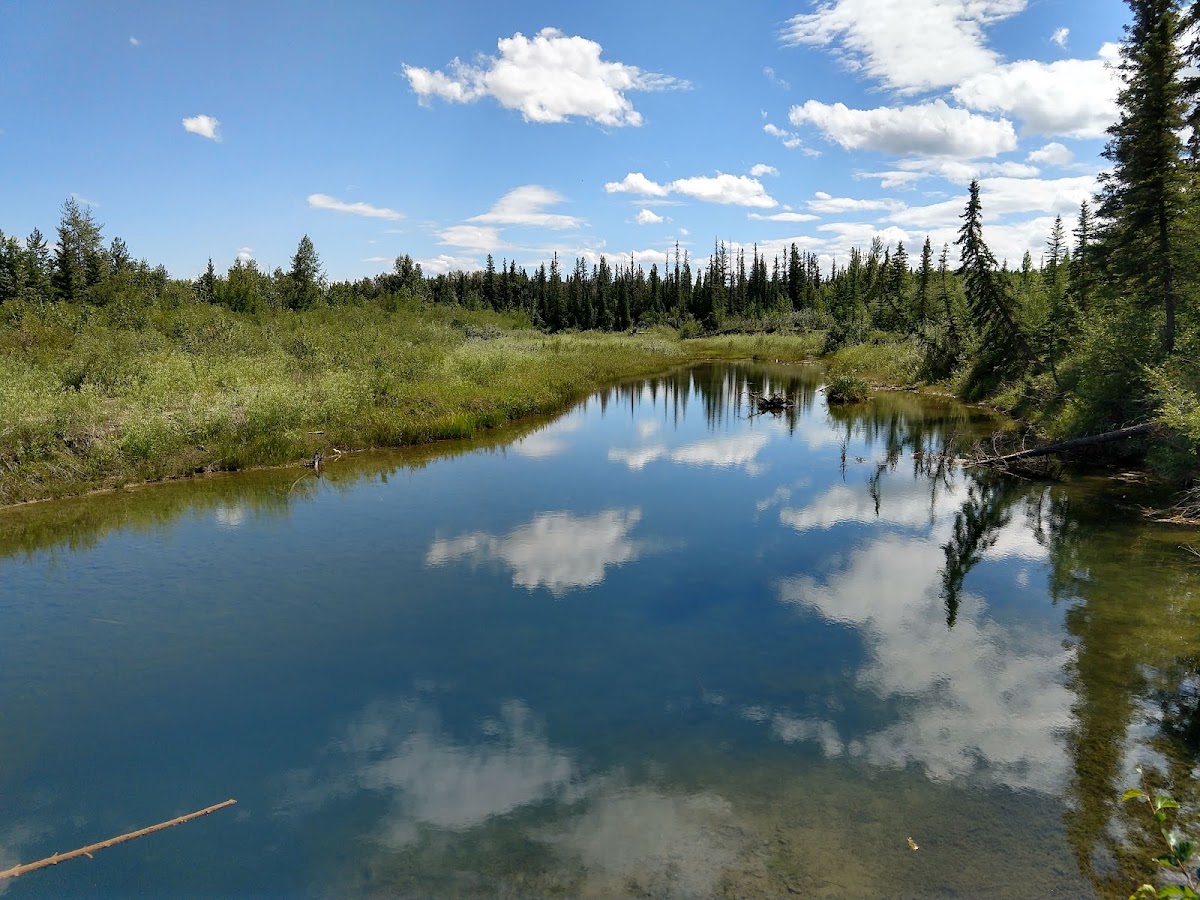 Weaselhead Flats Natural Environment Park