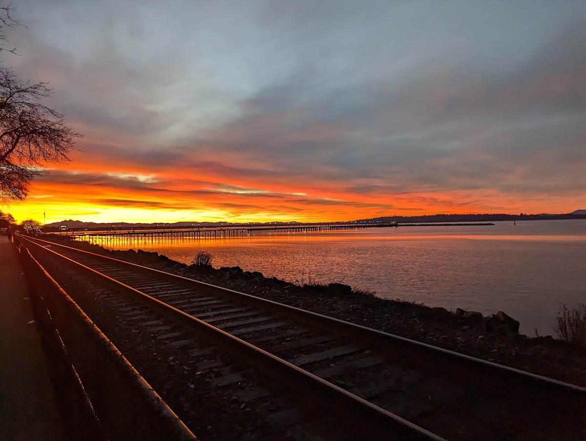White Rock Beach
