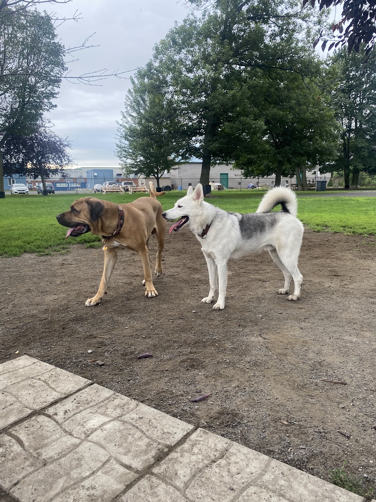 Drummondville Dog Park
