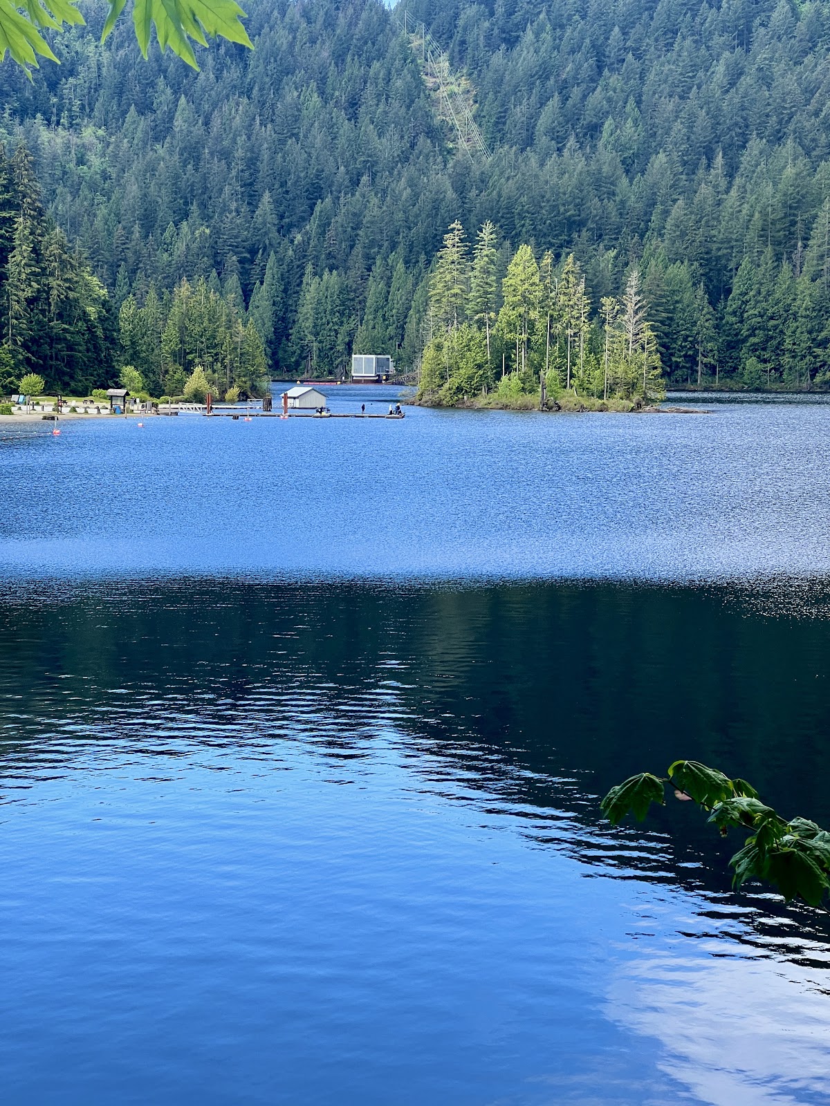 Buntzen Lake off-leash dog beach