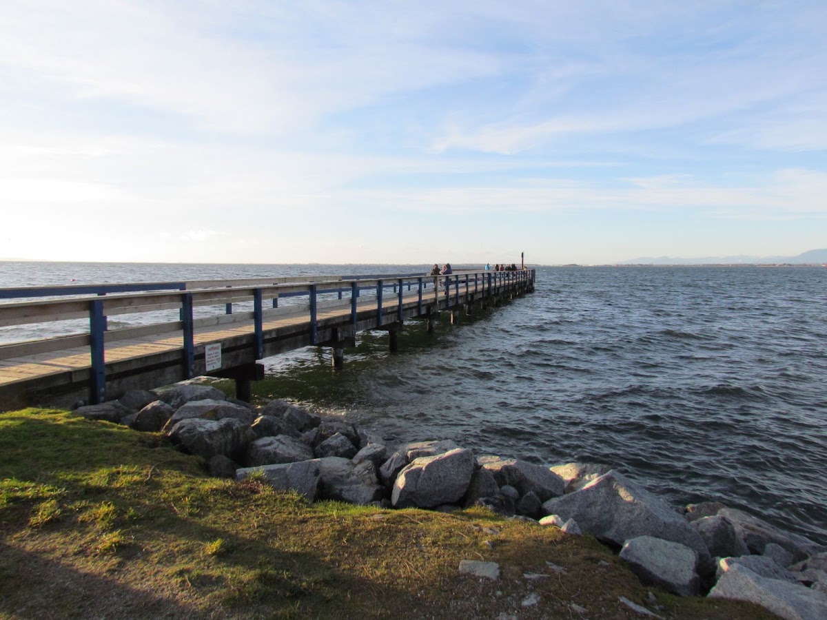 Blackie Spit