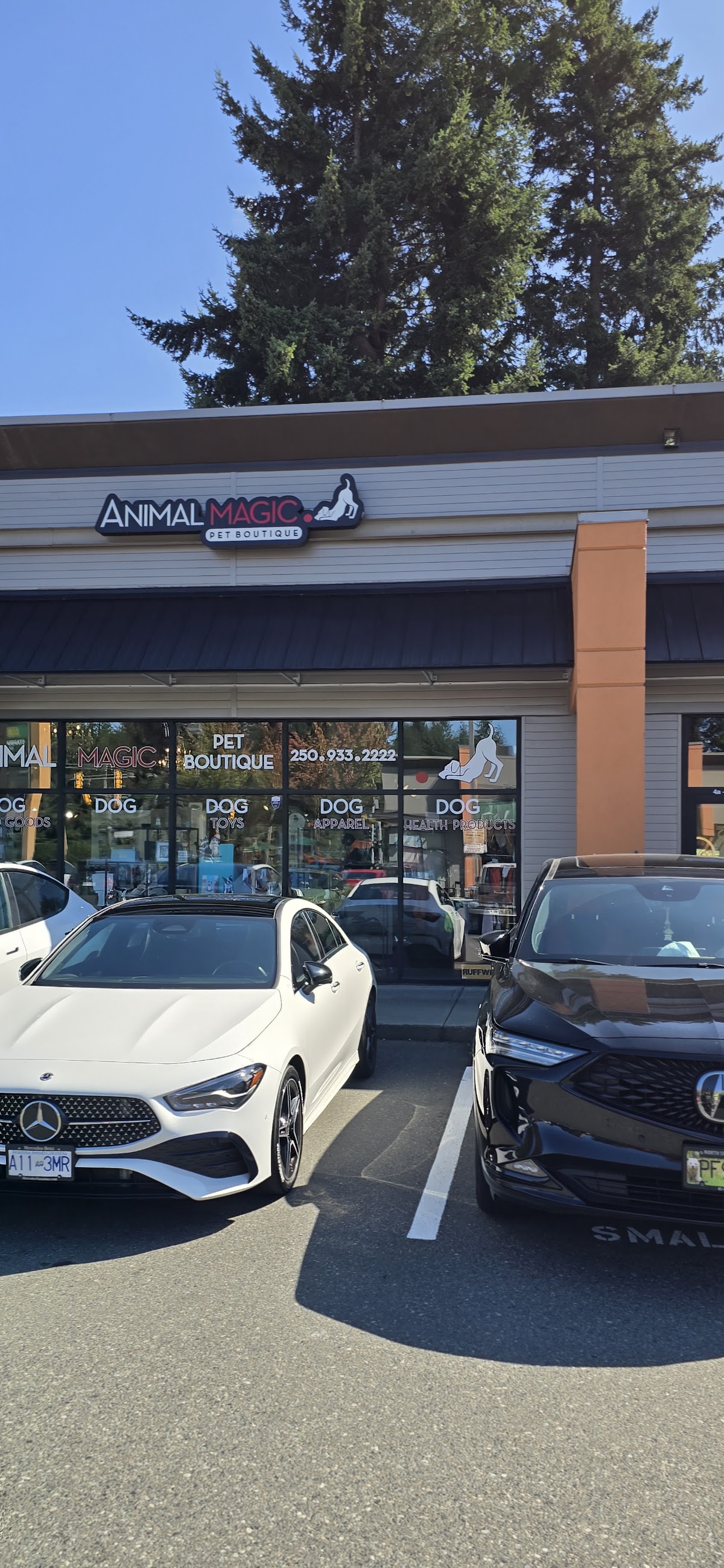 Animal Magic Pet Boutique