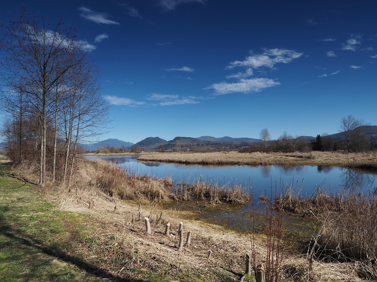 Willband Creek Park
