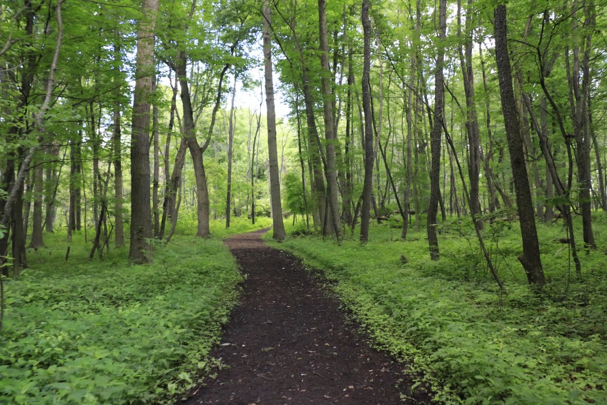 Ojibway Prairie Provincial Nature Reserve