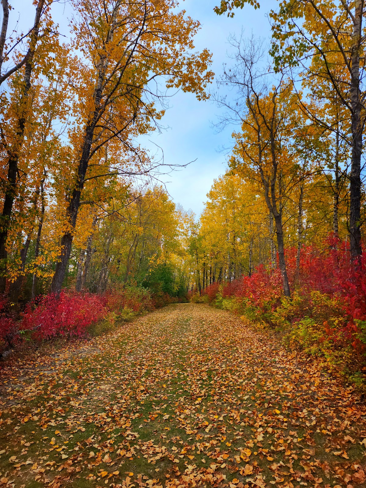 Finlayson Island Nature Park