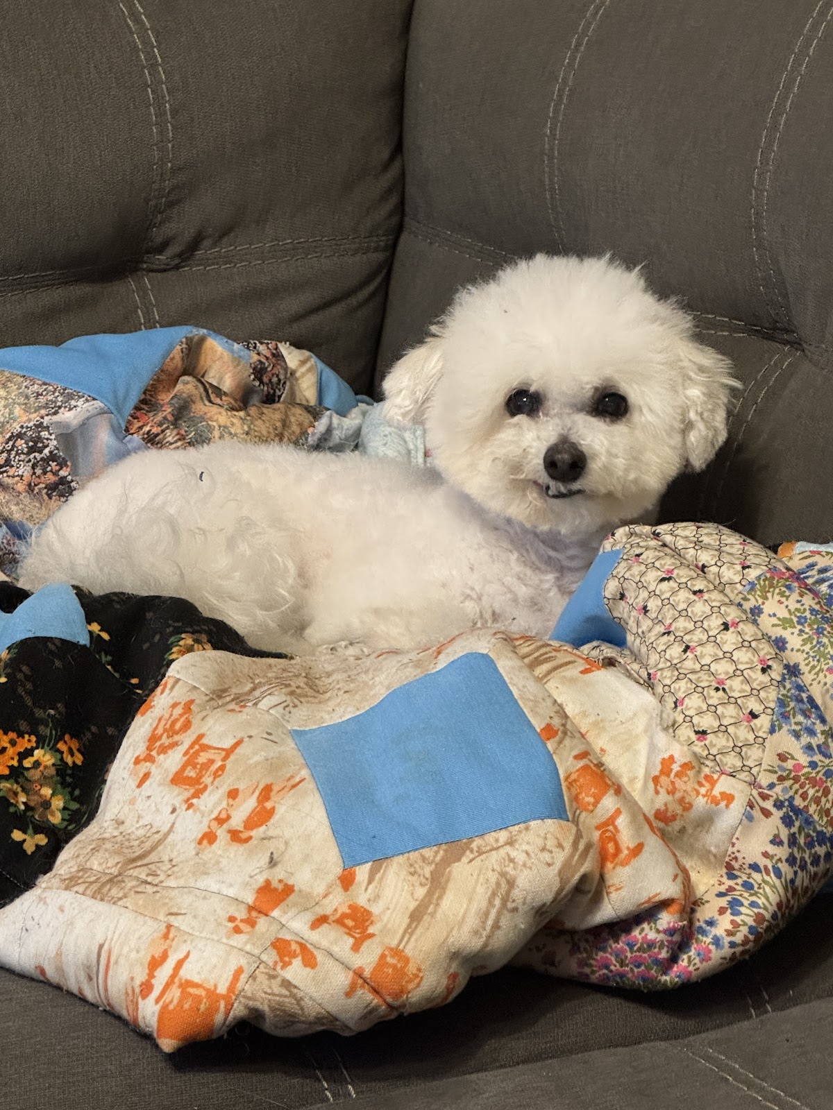 Barkland Pet Resort and Crematorium