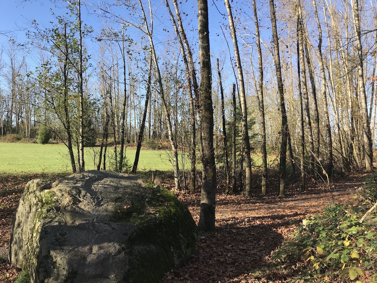 Clearbrook Park