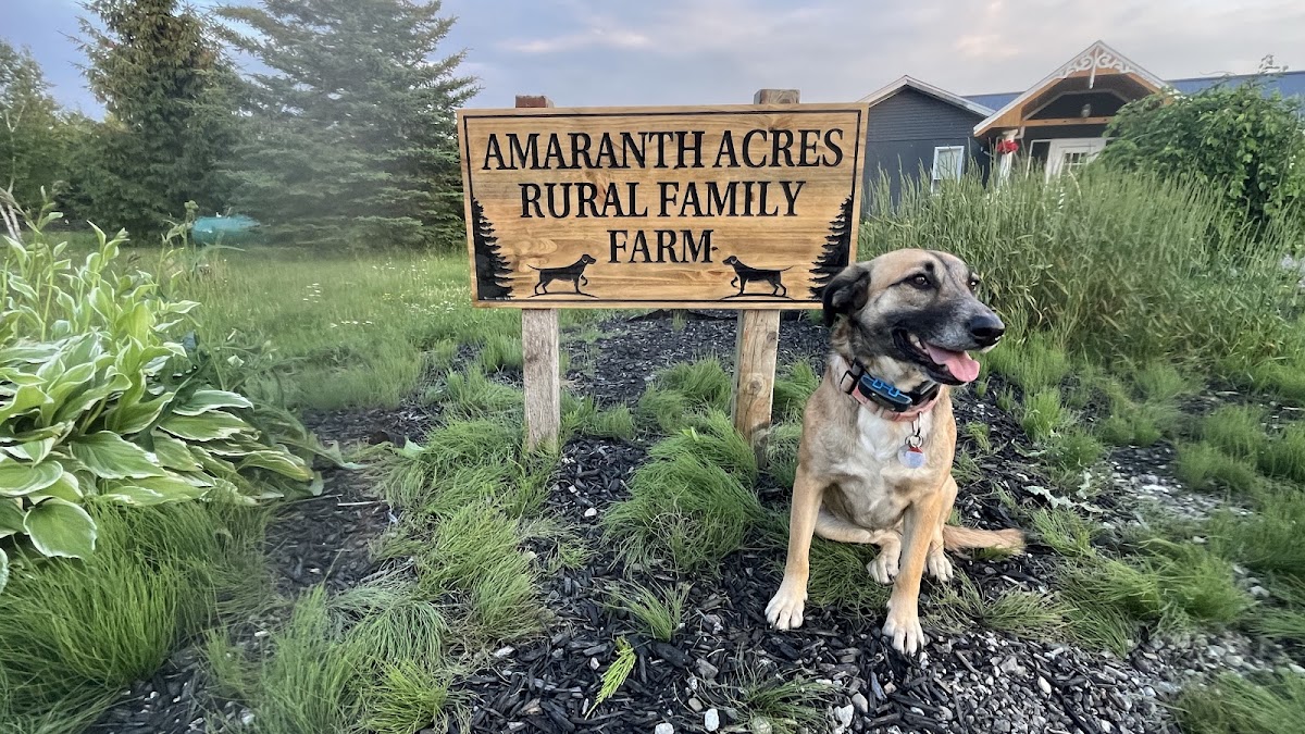 AARFF Private Dog Park