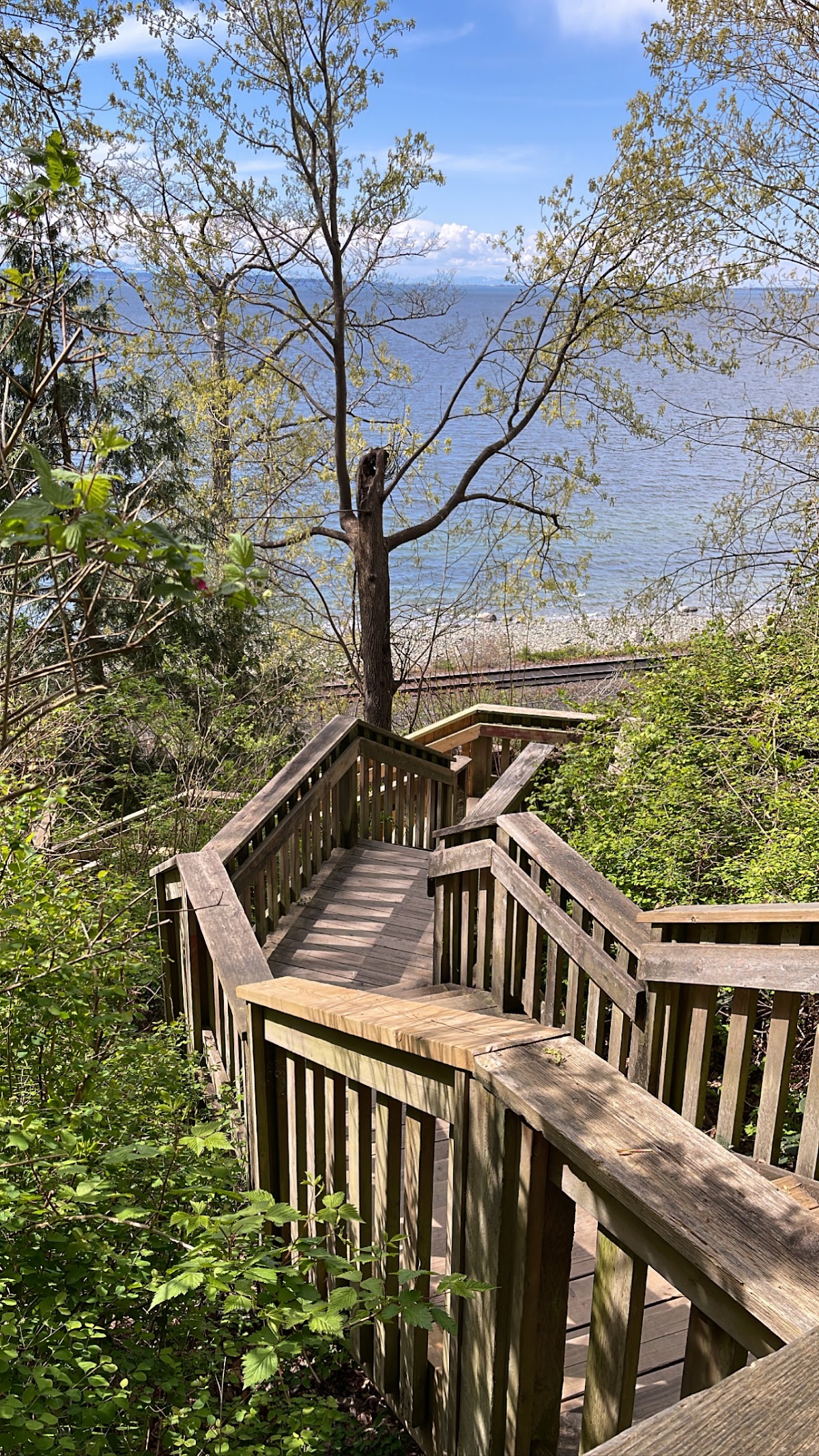 1001 Steps