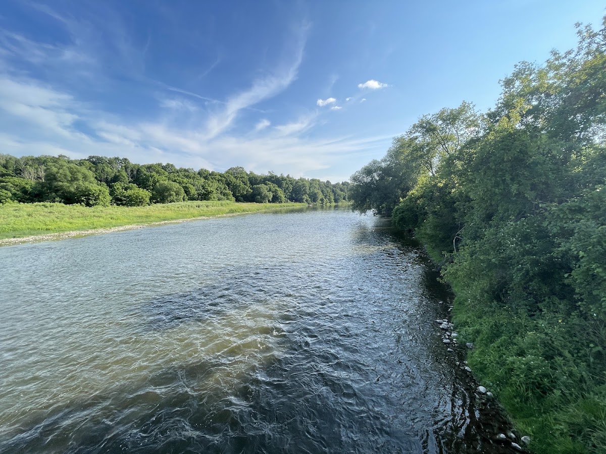 Schneider Park