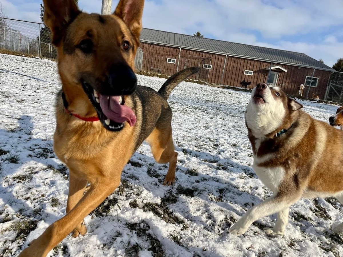 Holiday Farms Pet Resort