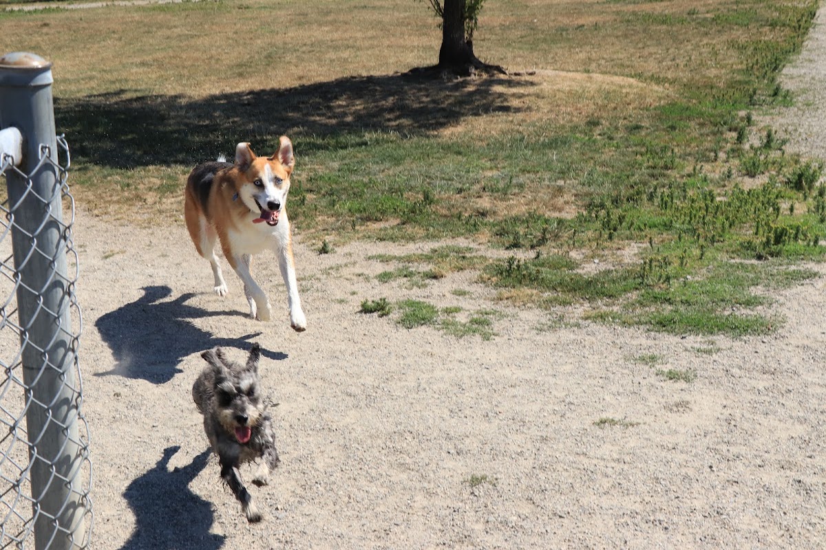 Uplands Dog Off Leash Park