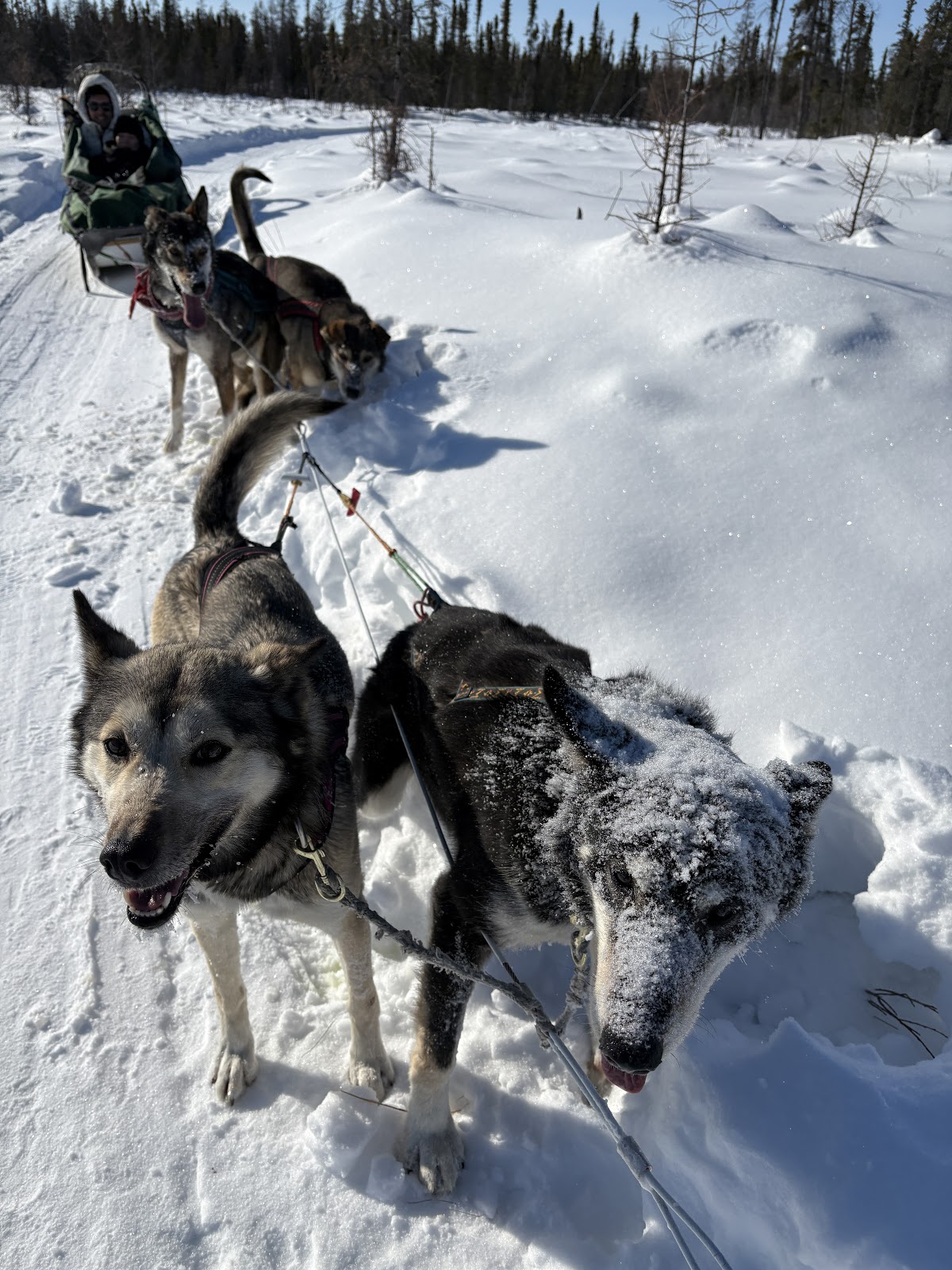 Aurora Station and Enodah Kennel