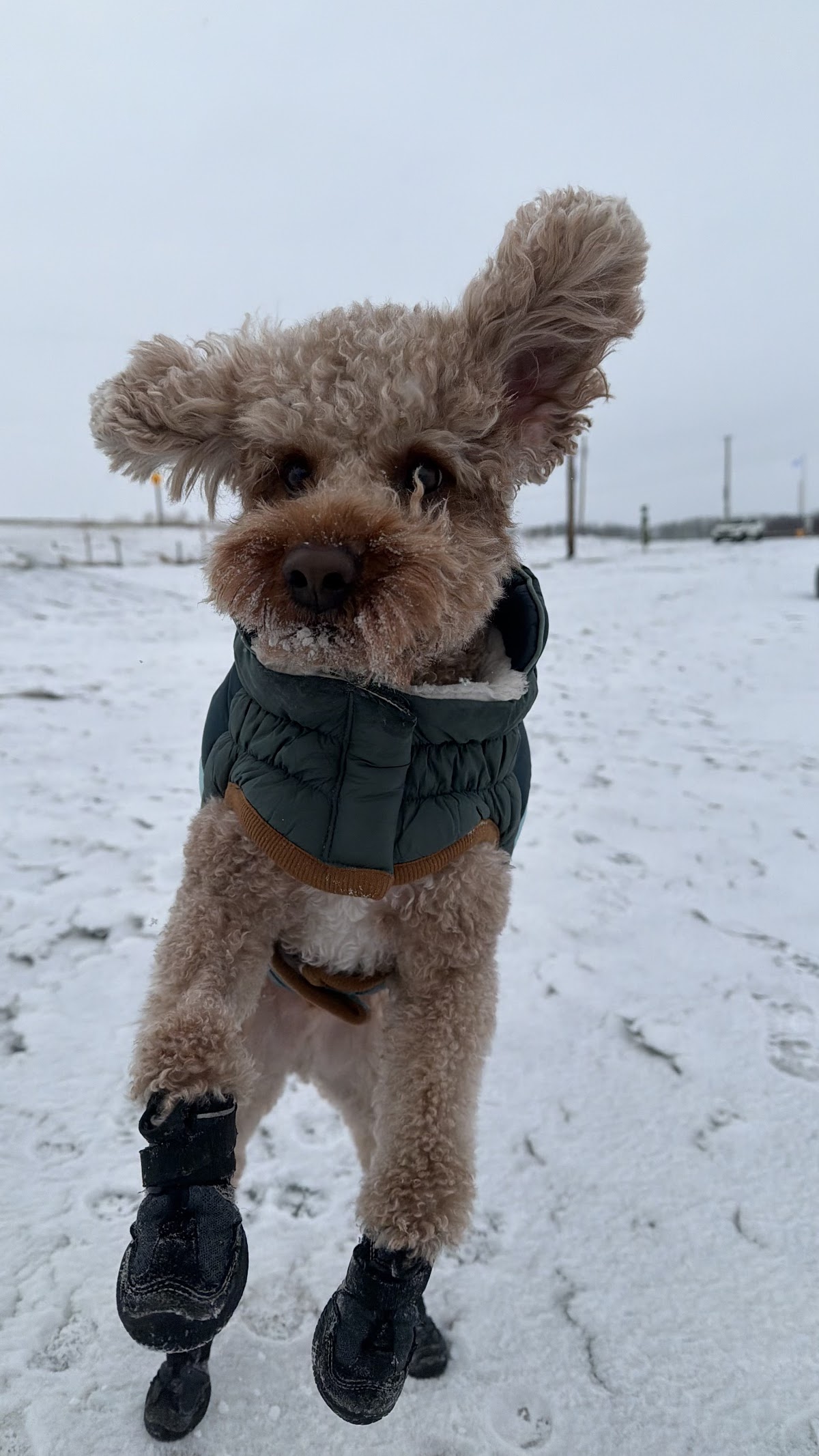 Spruce Grove Dog Spot | Private Dog Park