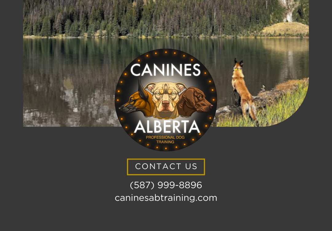 Canines Alberta Professional Dog Training