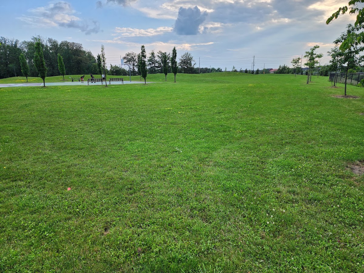 Cedar Hedge Park