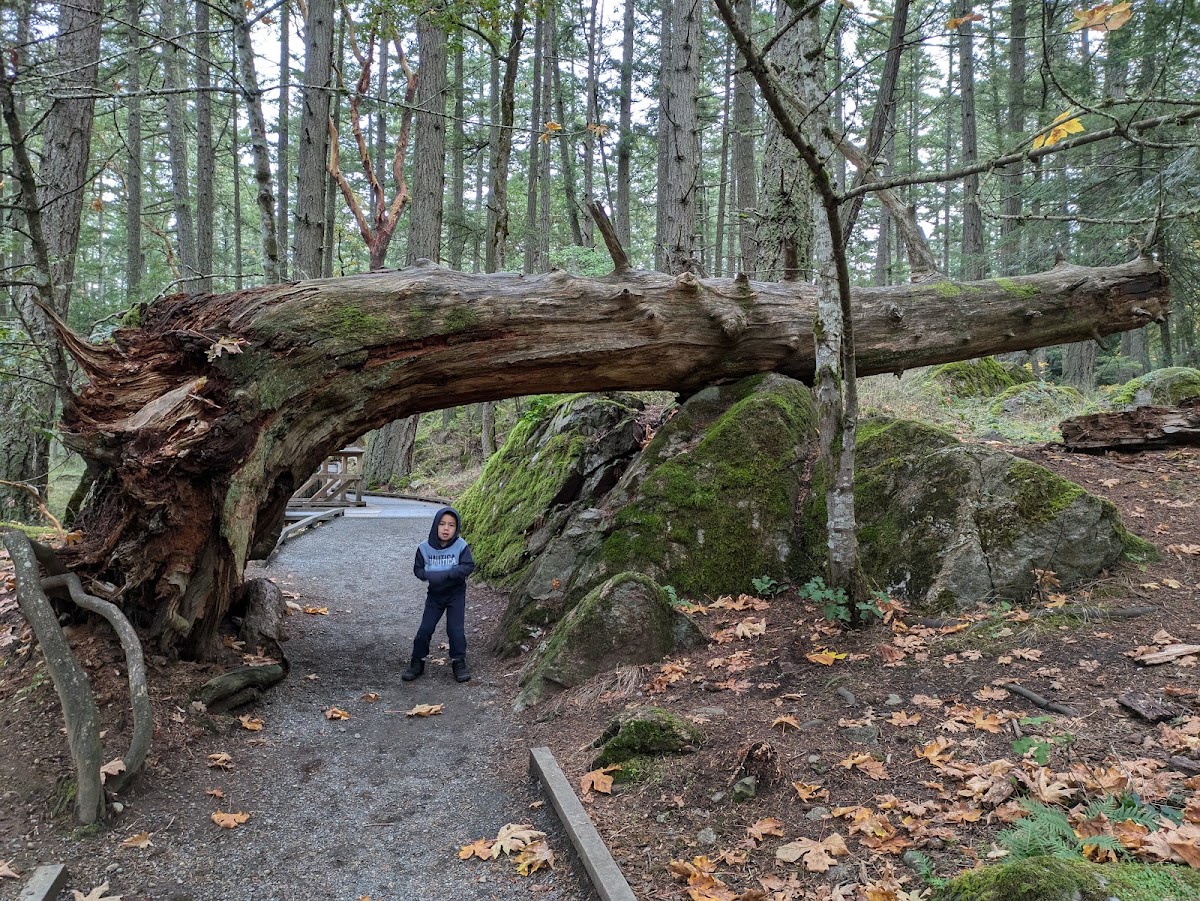 Francis/King Regional Park