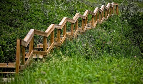 Bowmont Park