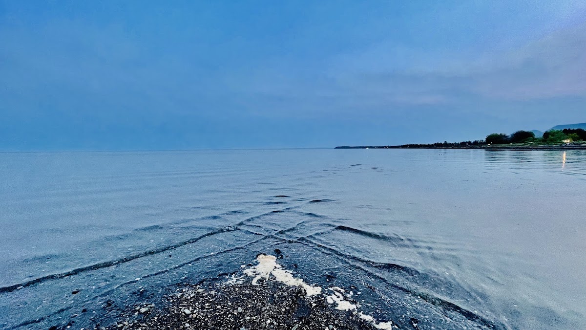 Gull Beach